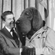 President Ronald Reagan meets "McGruff" the crime dog, during Crime Prevention Week ceremonies at the White House in Washington, Feb. 15, 1984. Sergeant Winston Cavendish of the St. Tammany's Parish Sheriff Department put on the "McGruff" outfit to take part in the ceremony that recognized elected officials, law enforcement officers and citizen volunteers. (AP Photo/Barry Thumma)